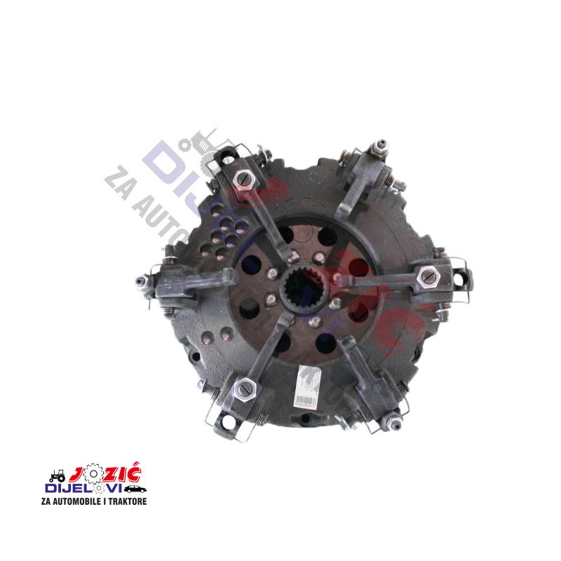 Daisy on the Ohoopee